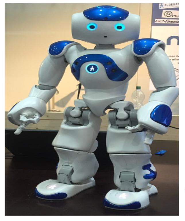 NAO6  Humanoid Robot